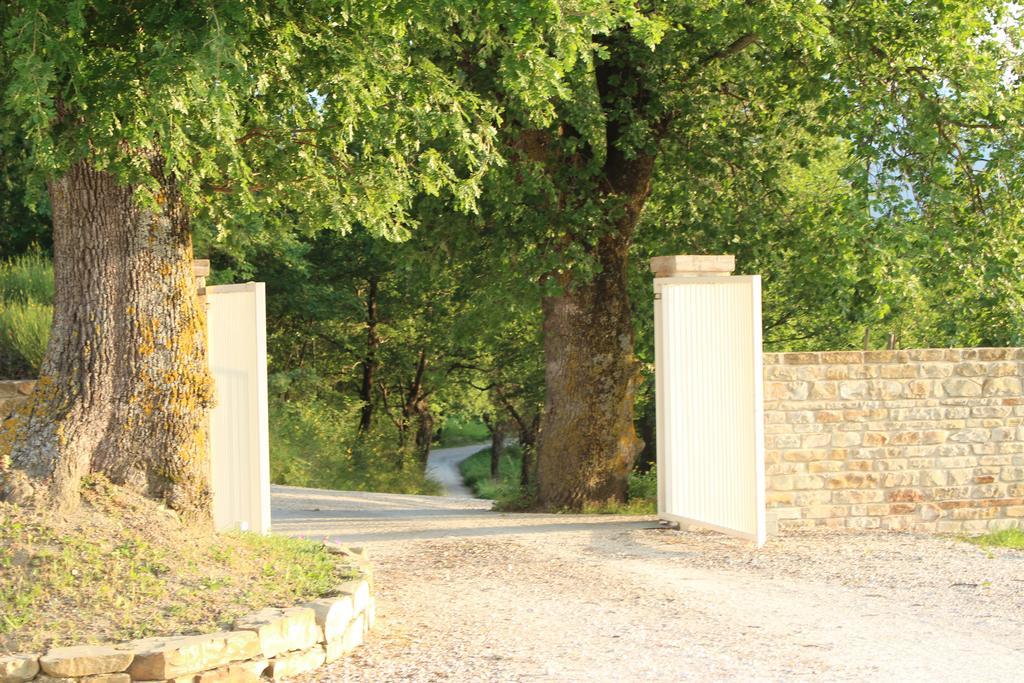 Amico Country House Serra San Quirico ภายนอก รูปภาพ