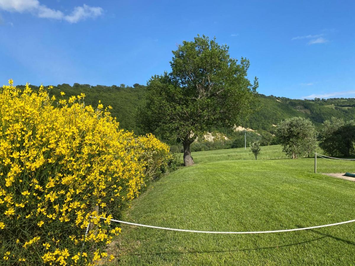 Amico Country House Serra San Quirico ภายนอก รูปภาพ