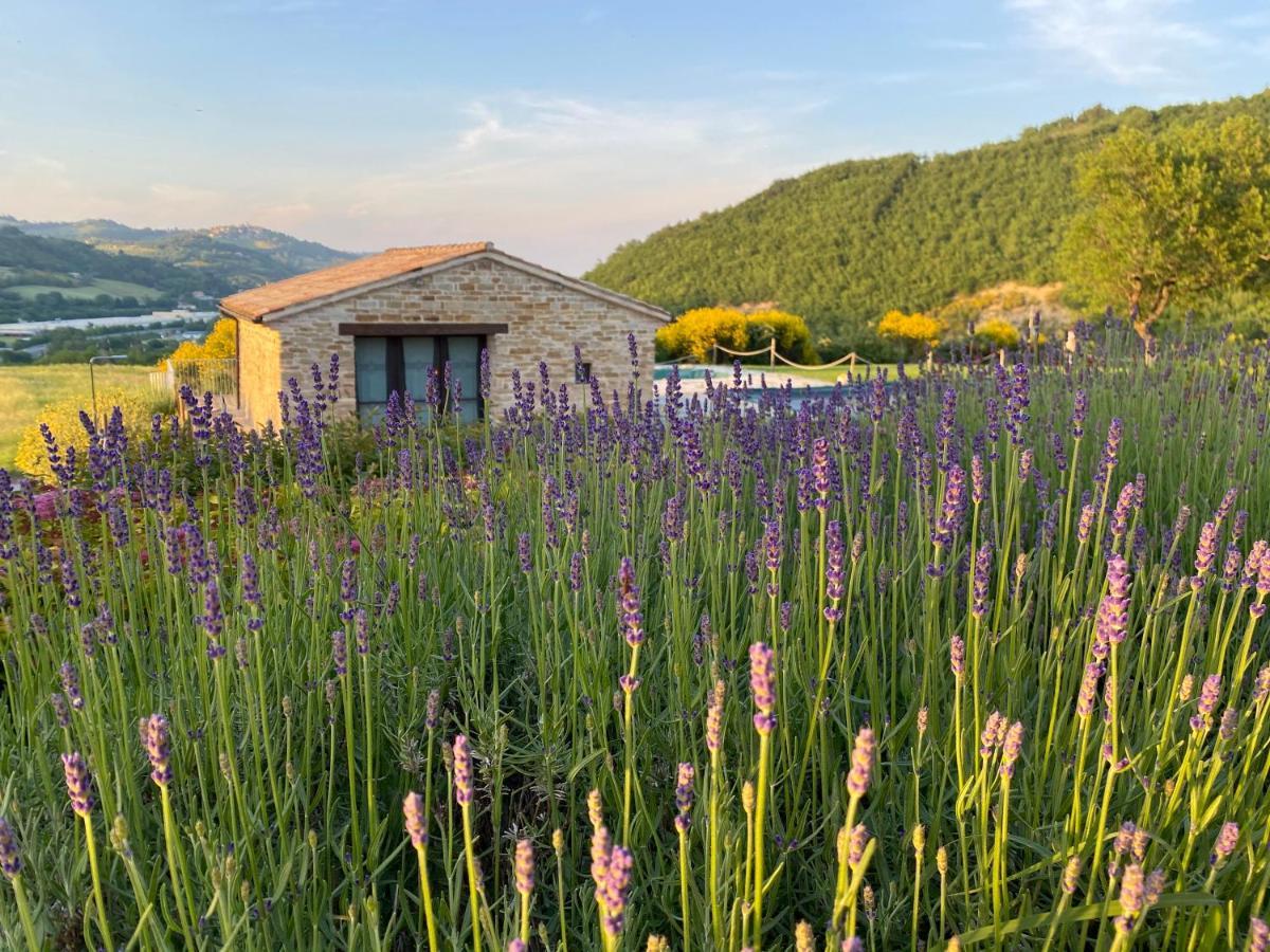 Amico Country House Serra San Quirico ภายนอก รูปภาพ
