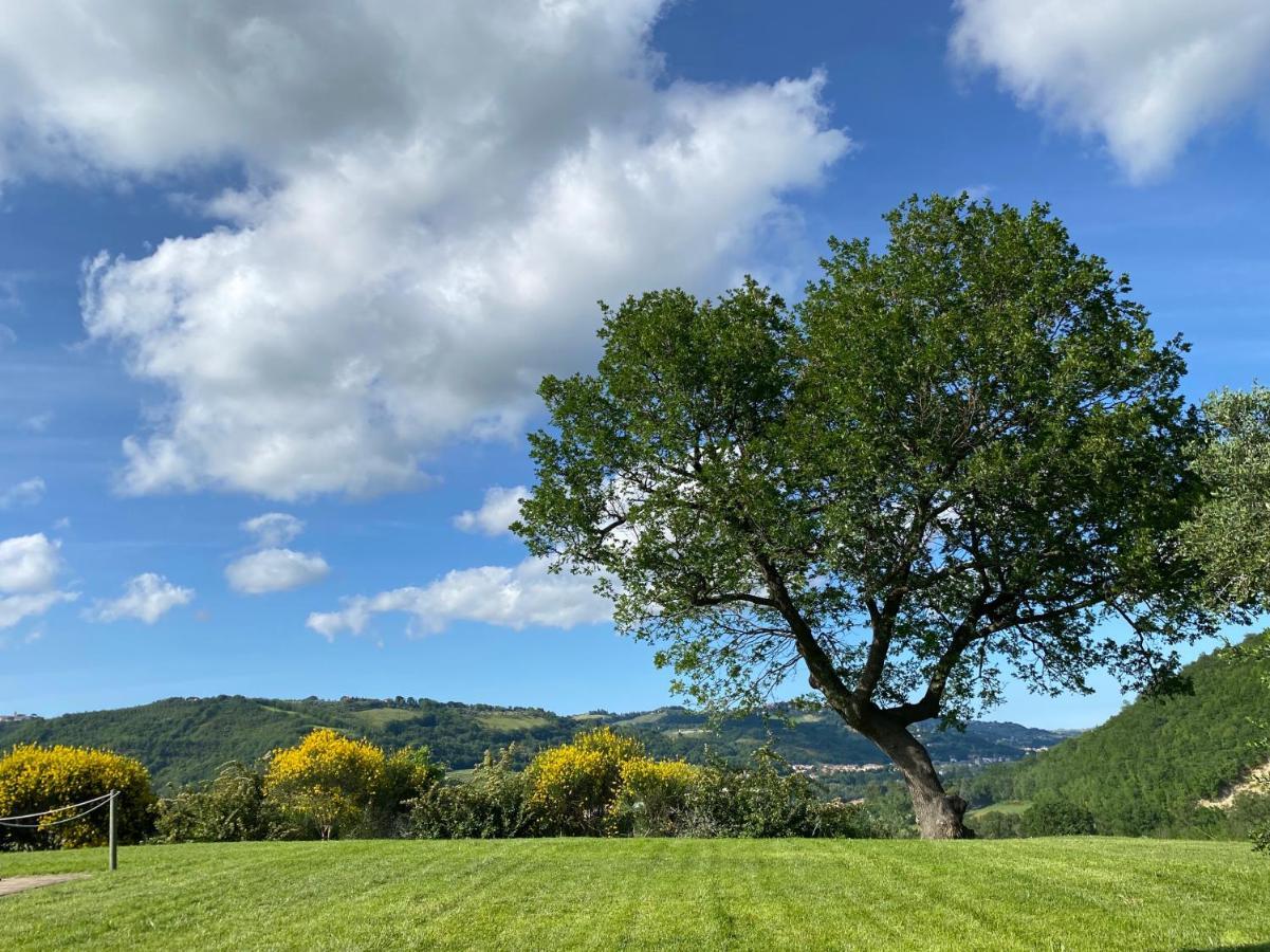 Amico Country House Serra San Quirico ภายนอก รูปภาพ